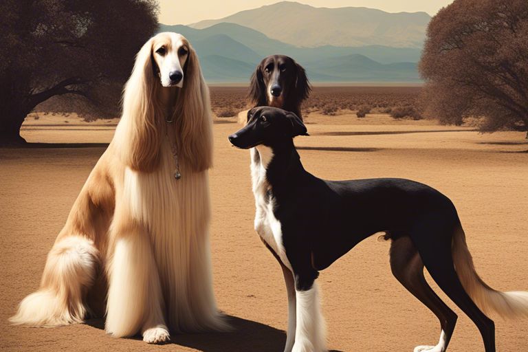 Unveiling Ancient Canines – Afghan Hounds, Salukis, And Basenjis